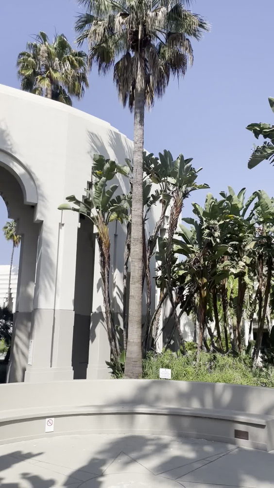 Beverly Hills Ice Skating Rink