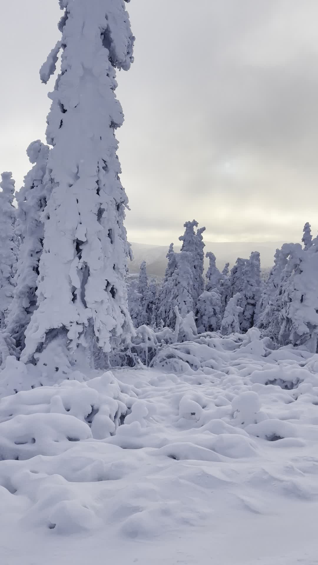 Northern Alaska Tour Company
