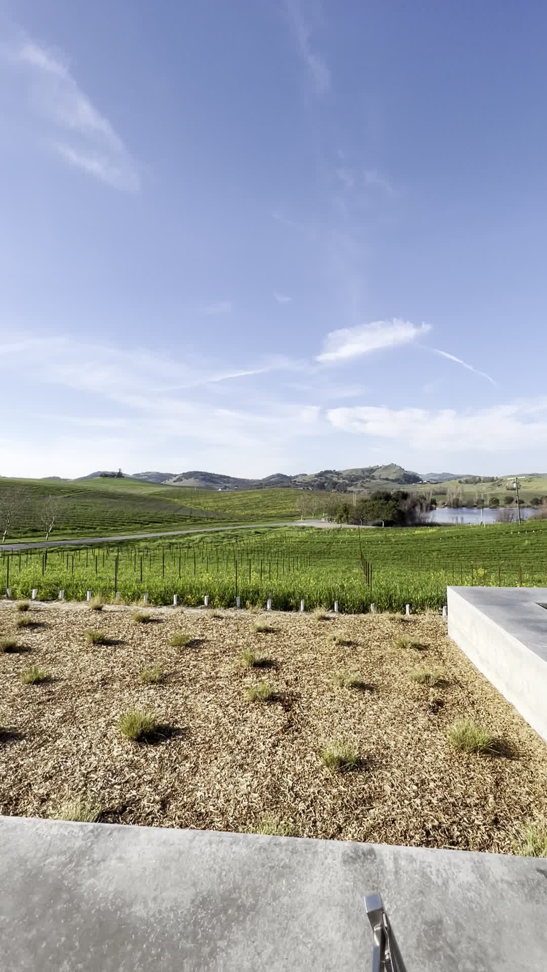 Cuvaison Estate Wines