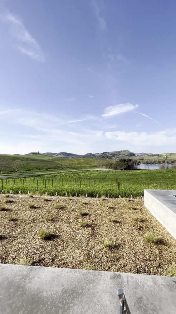 Cuvaison Estate Wines