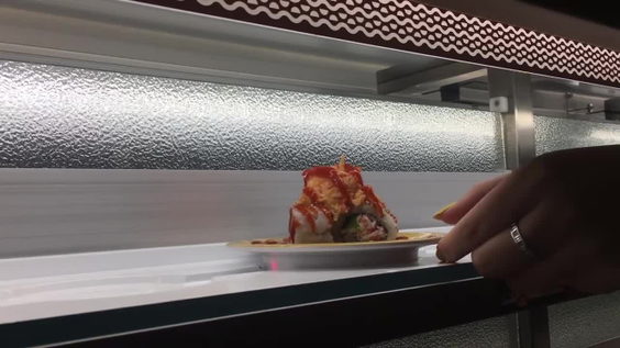 Magic Touch Bullet Train Sushi