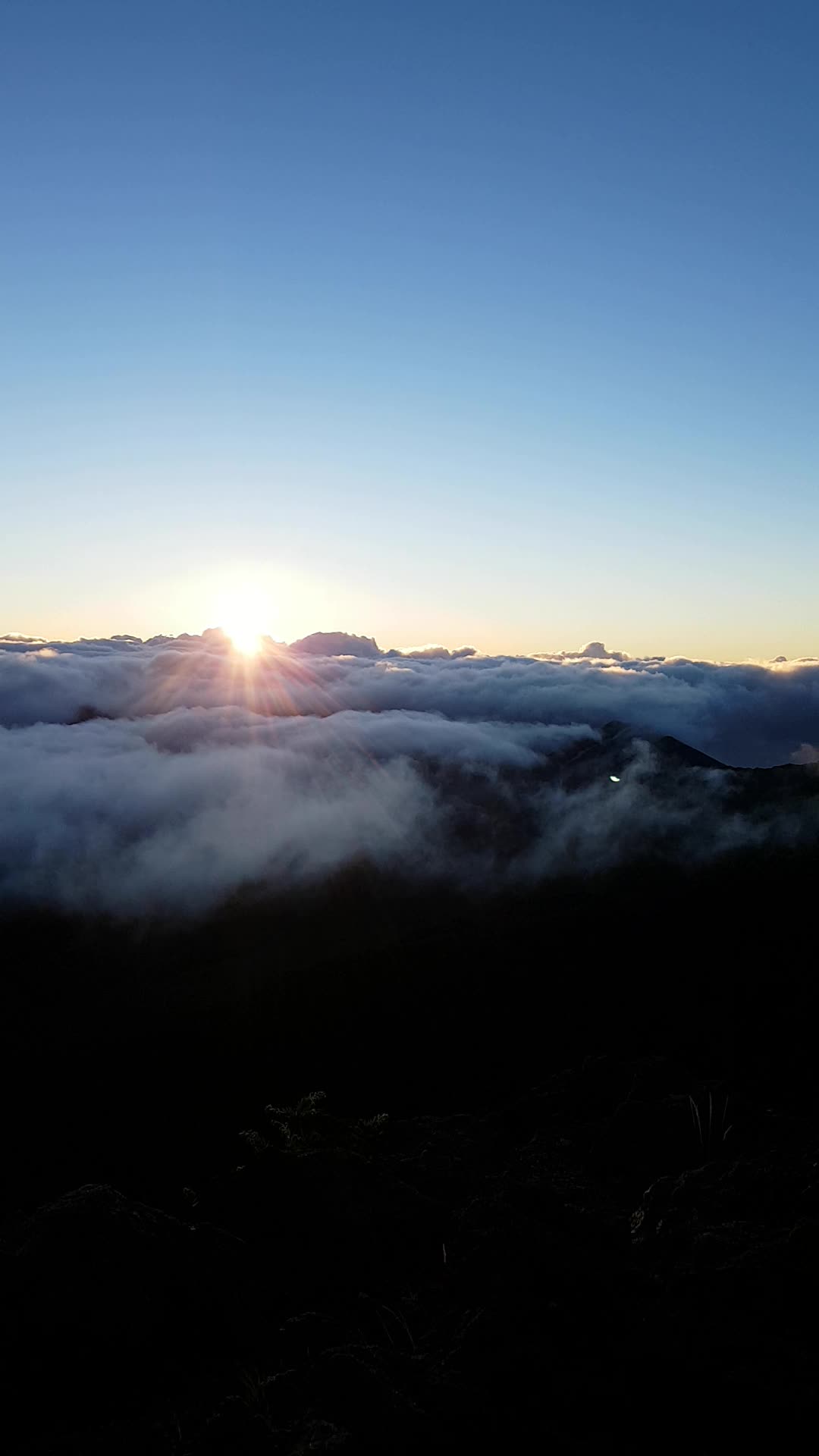 Haleakalā National Forest
