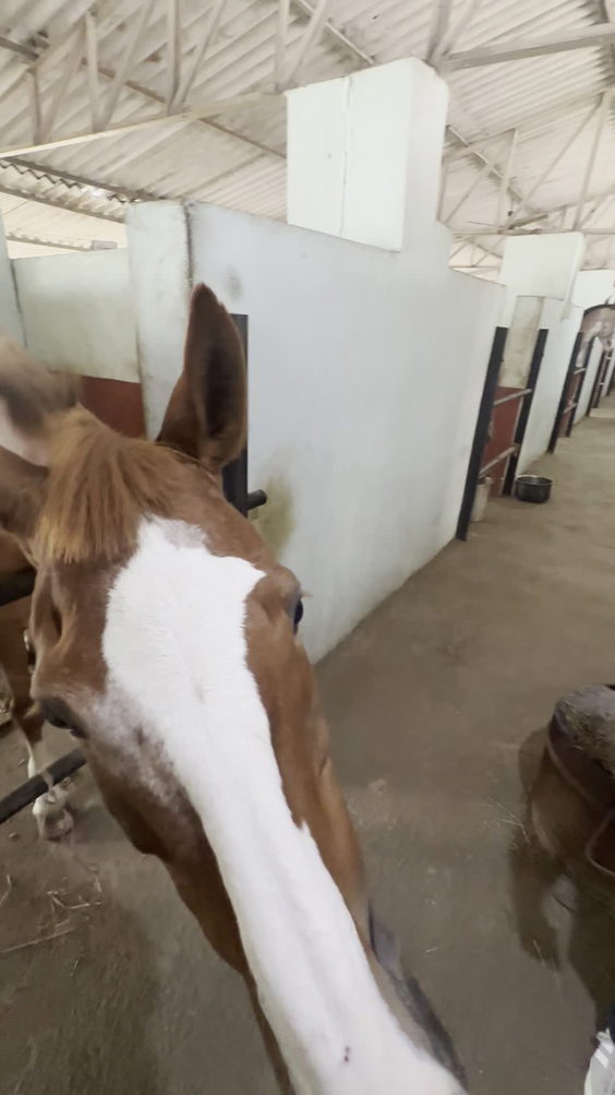 Mounted Police Training Grounds