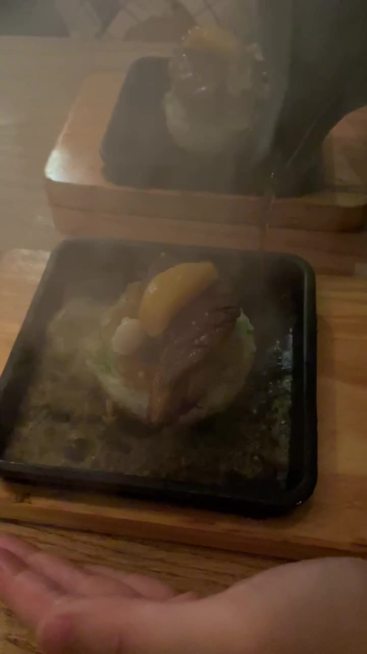 Video review of Soogil