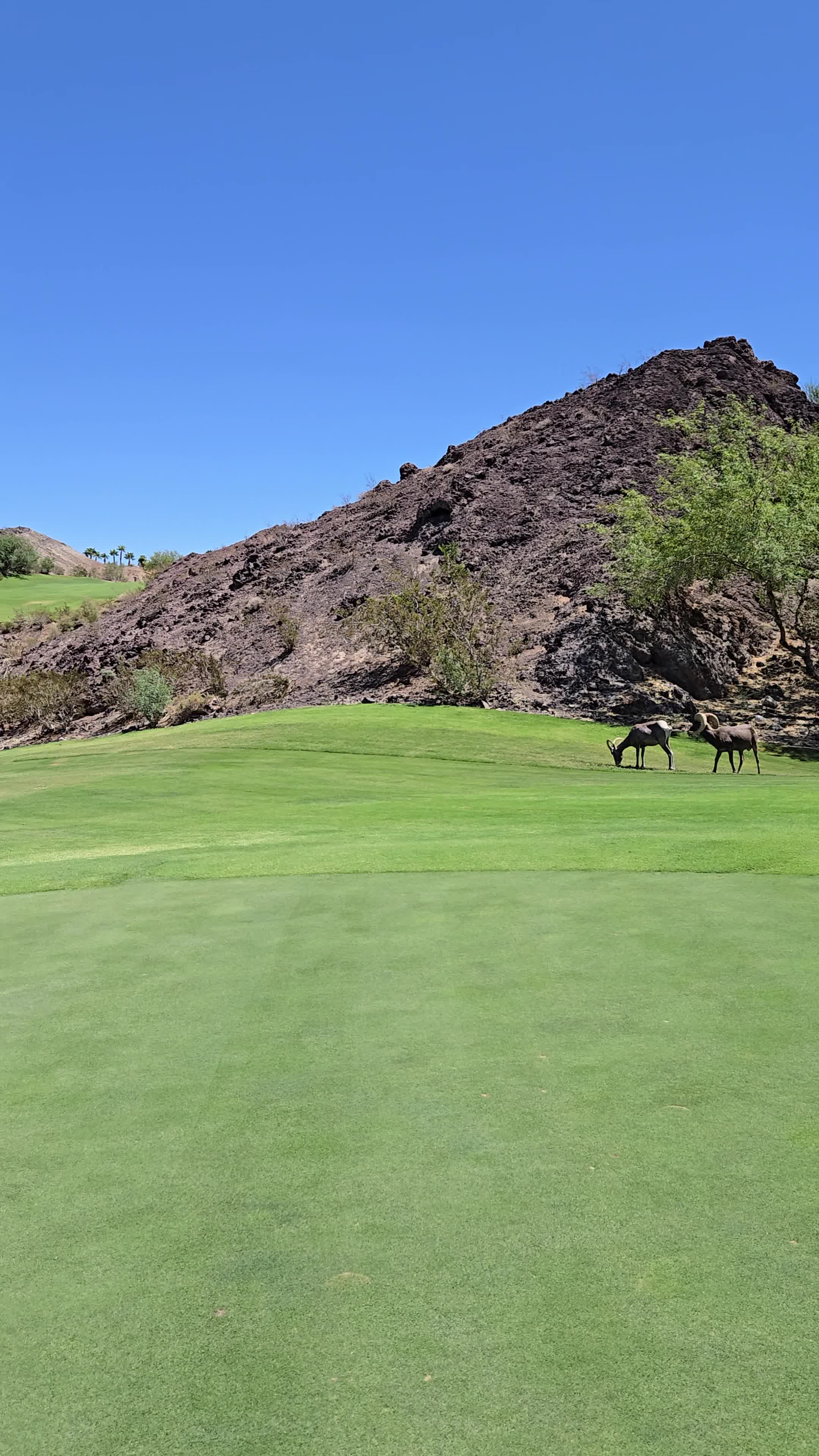 Southshore Country club