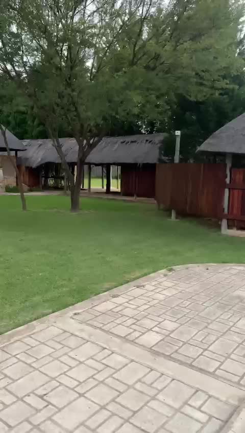 Waterberg Wildlife Sanctuary