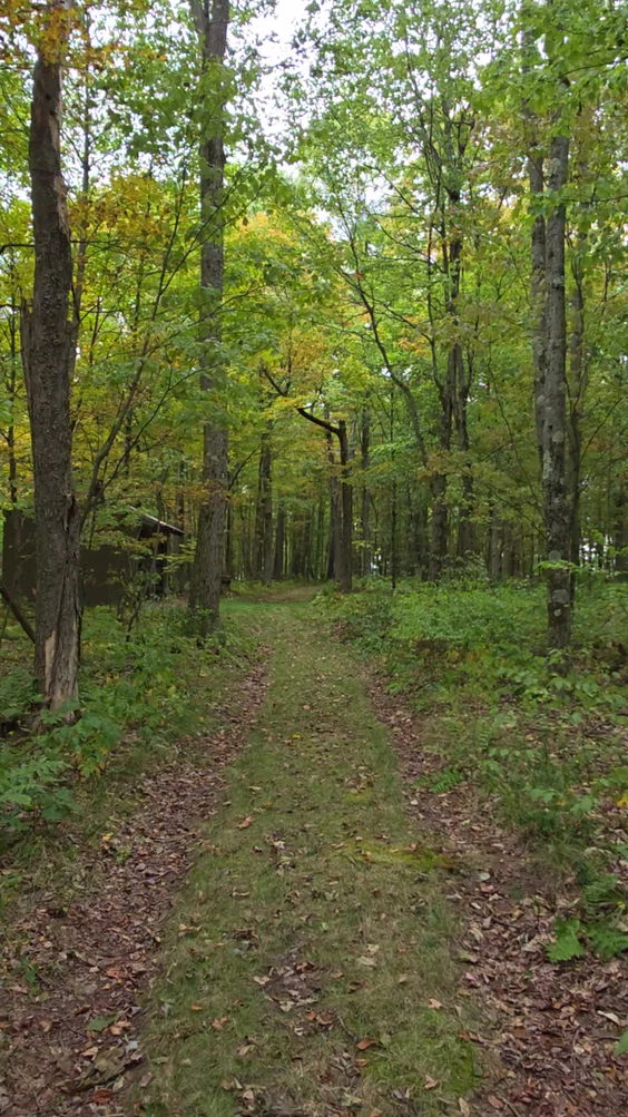 Pettus Hill Preserve