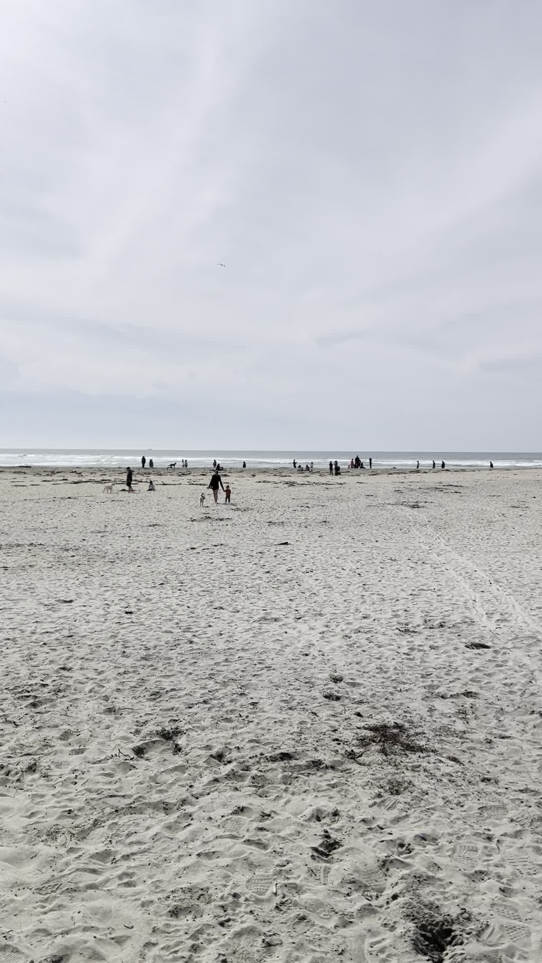 Del Mar Dog Beach