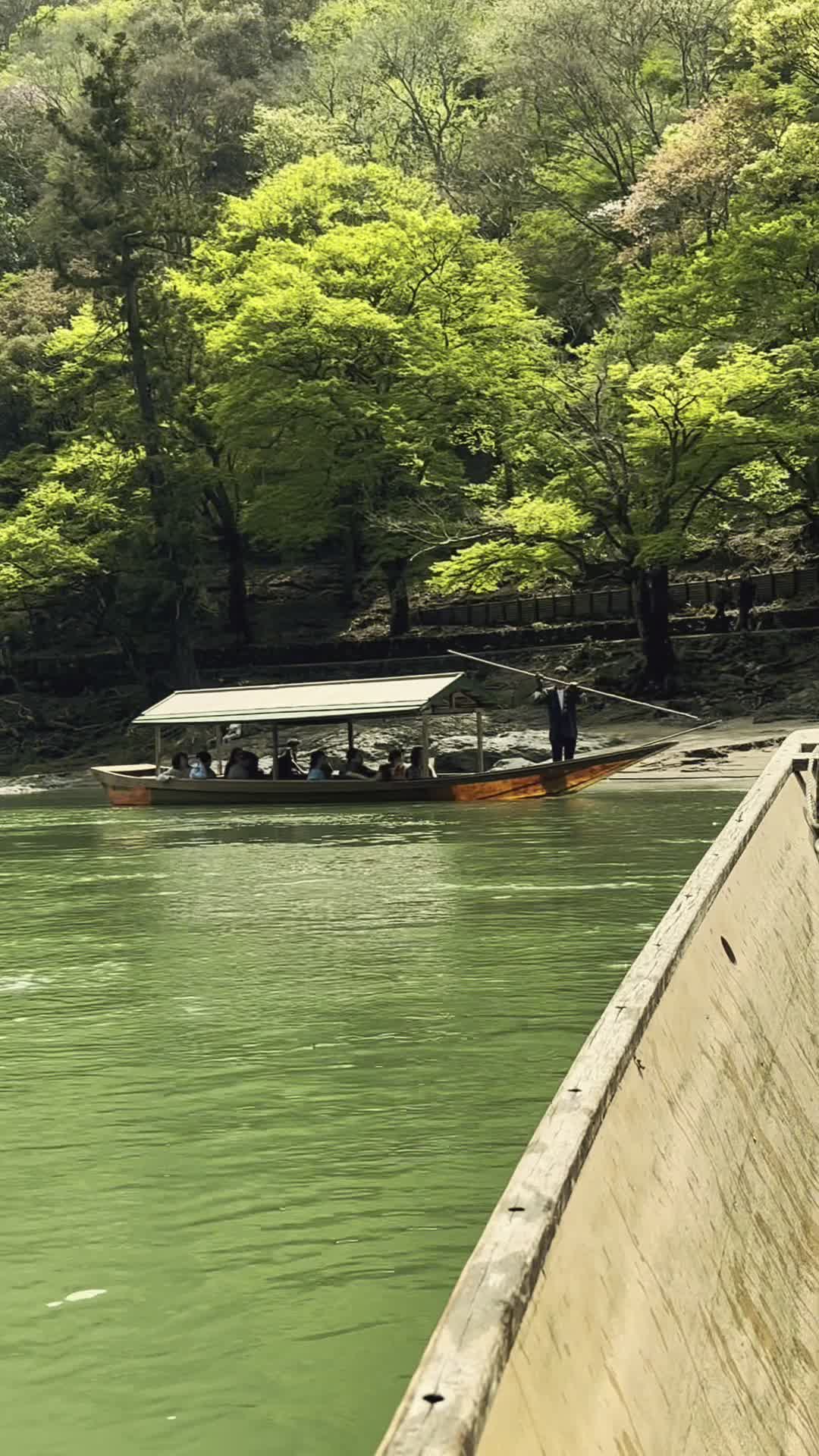 Arashiyama Bamboo Forest