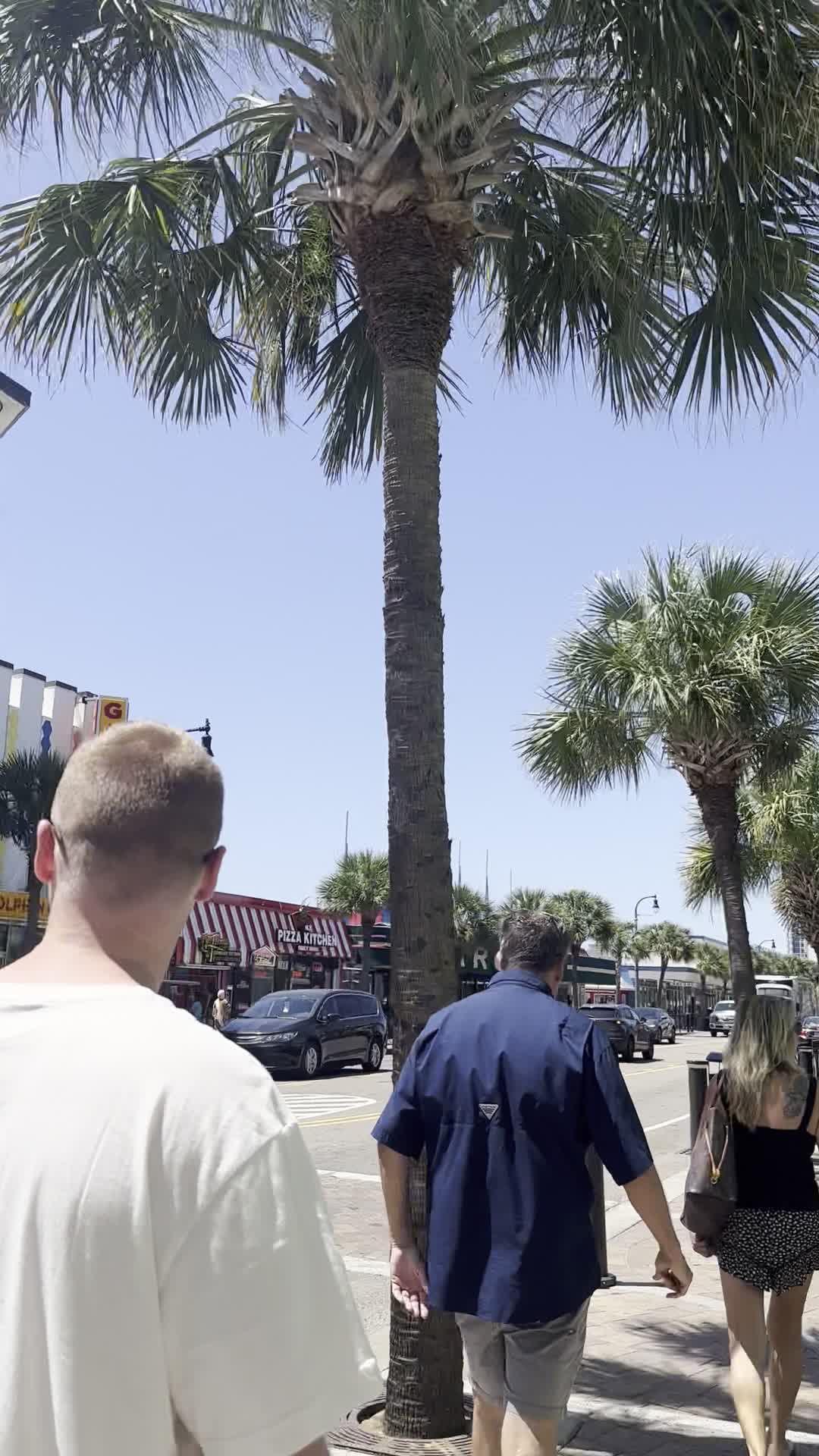 Video review of The Gay Dolphin