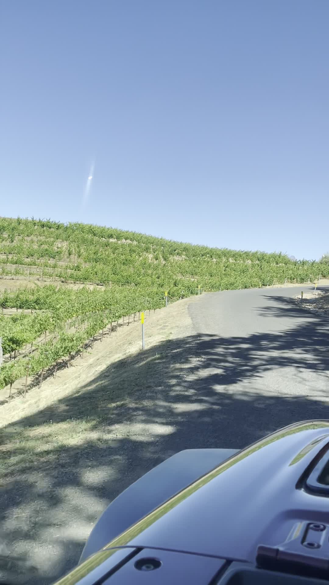 Pride Mountain Vineyard Caves