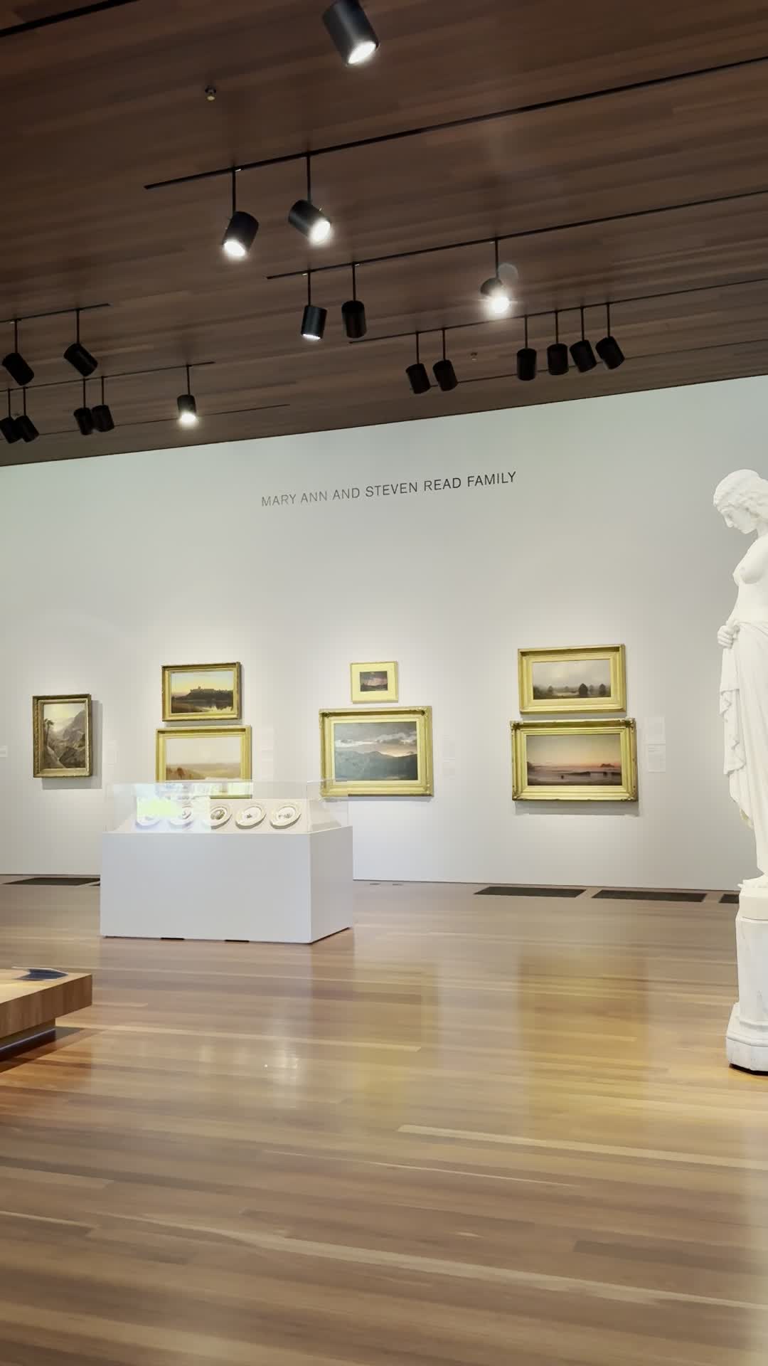 Video review of de Young Museum