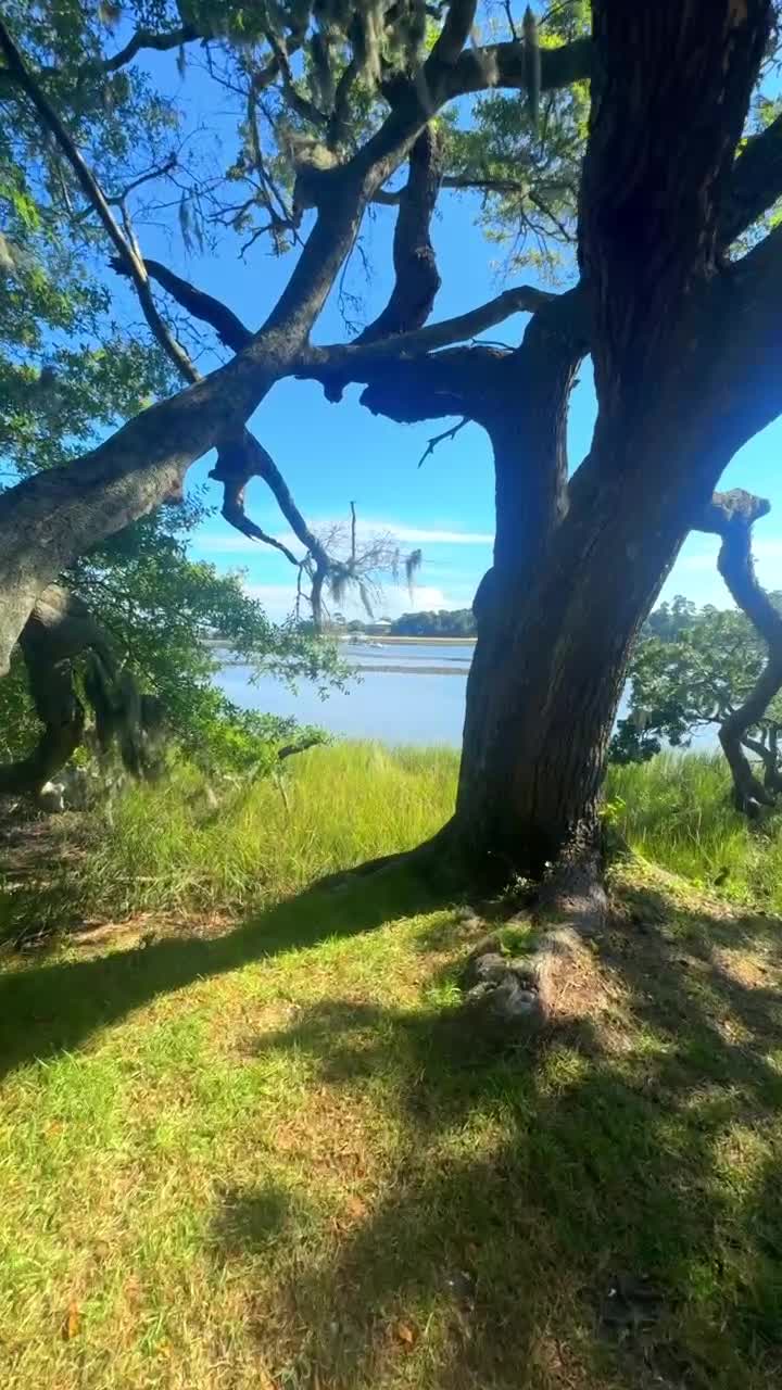 Airlie Gardens