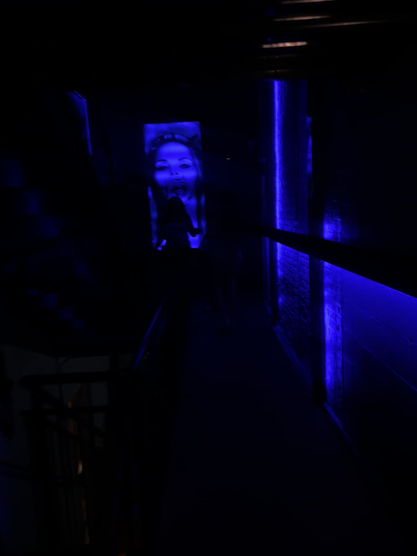 Video review of Tunnel