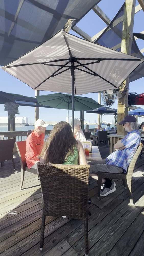 Rusty's Seafood and Oyster Bar