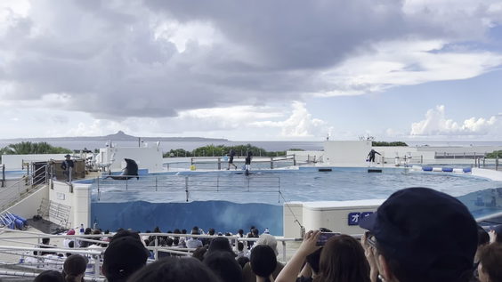 沖縄美ら海水族館