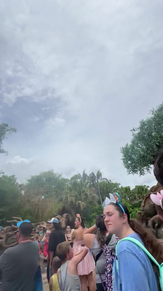 The Tree of Life