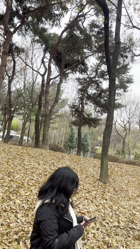 Seoul Forest
