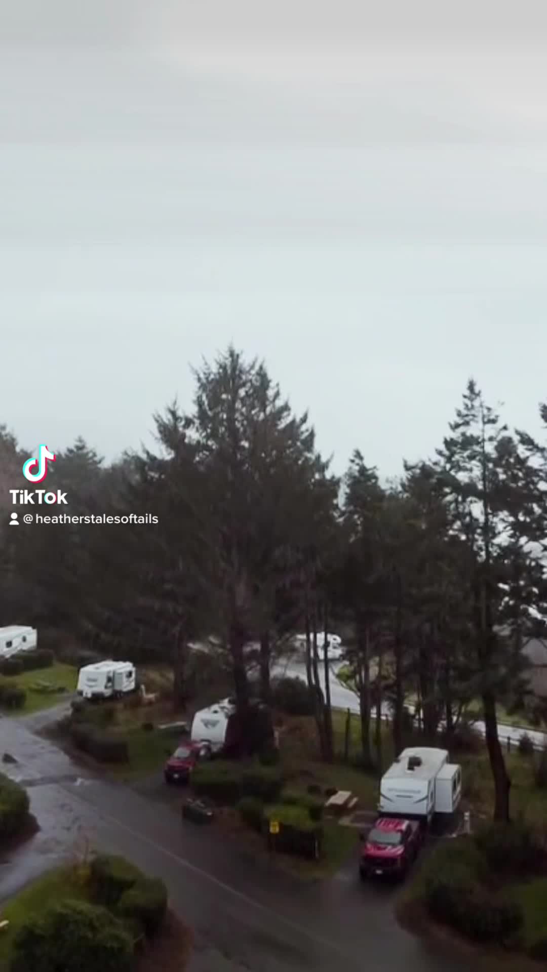Harris Beach State Park Campground
