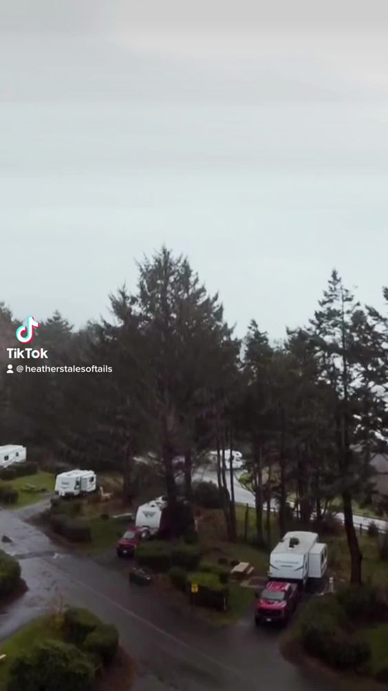Harris Beach State Park Campground