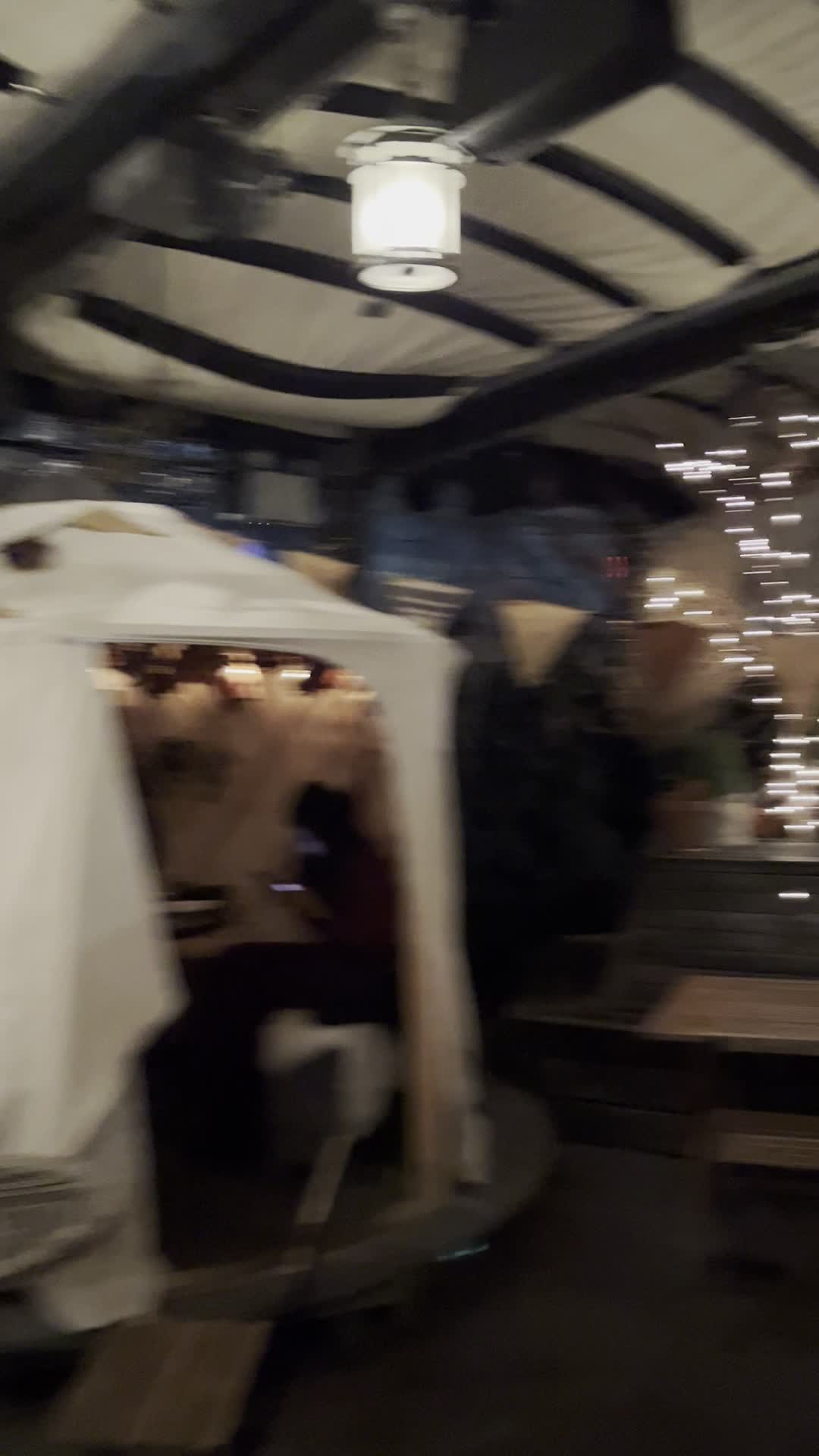 Video review of The McKittrick Hotel