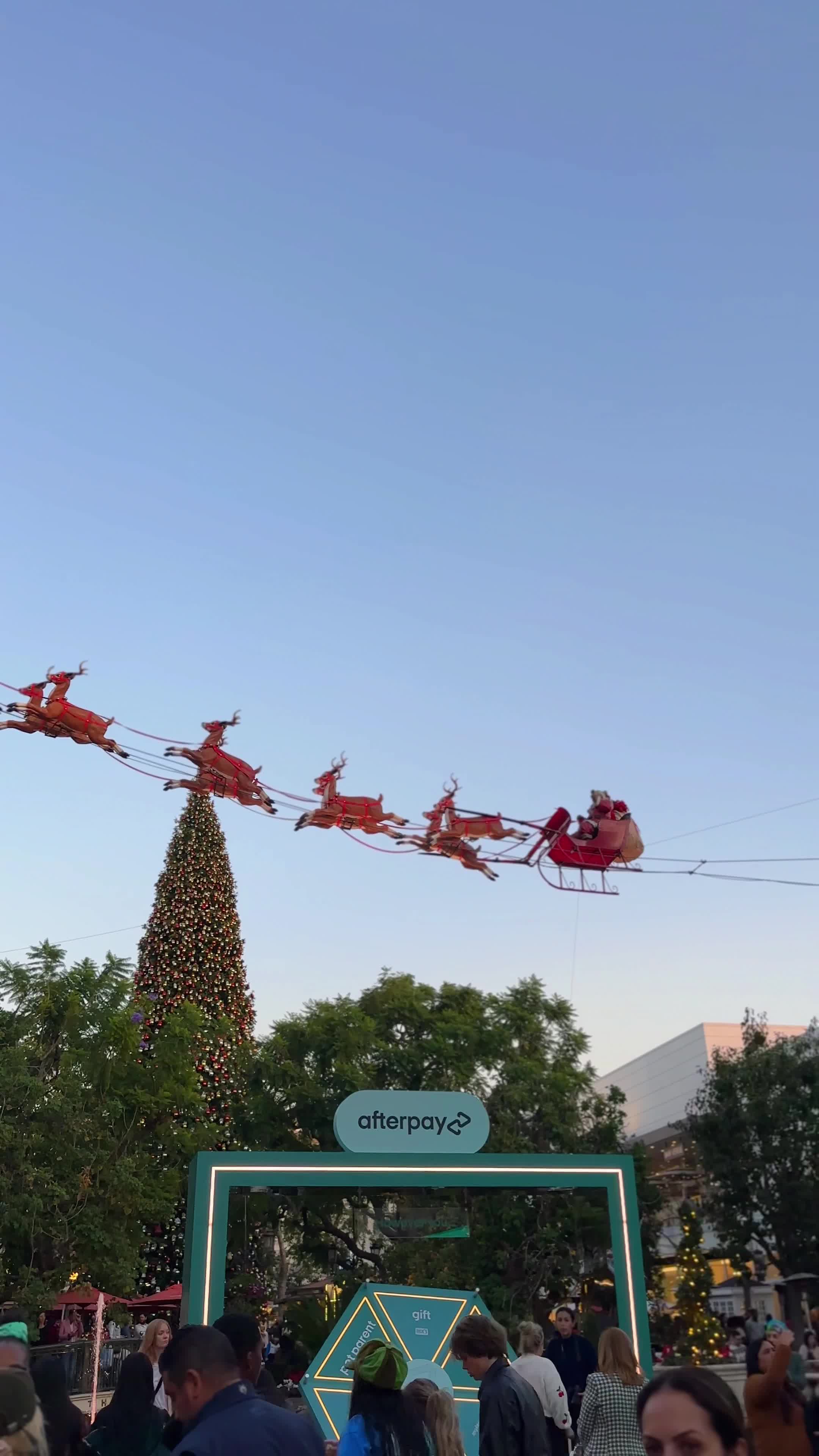 The Grove