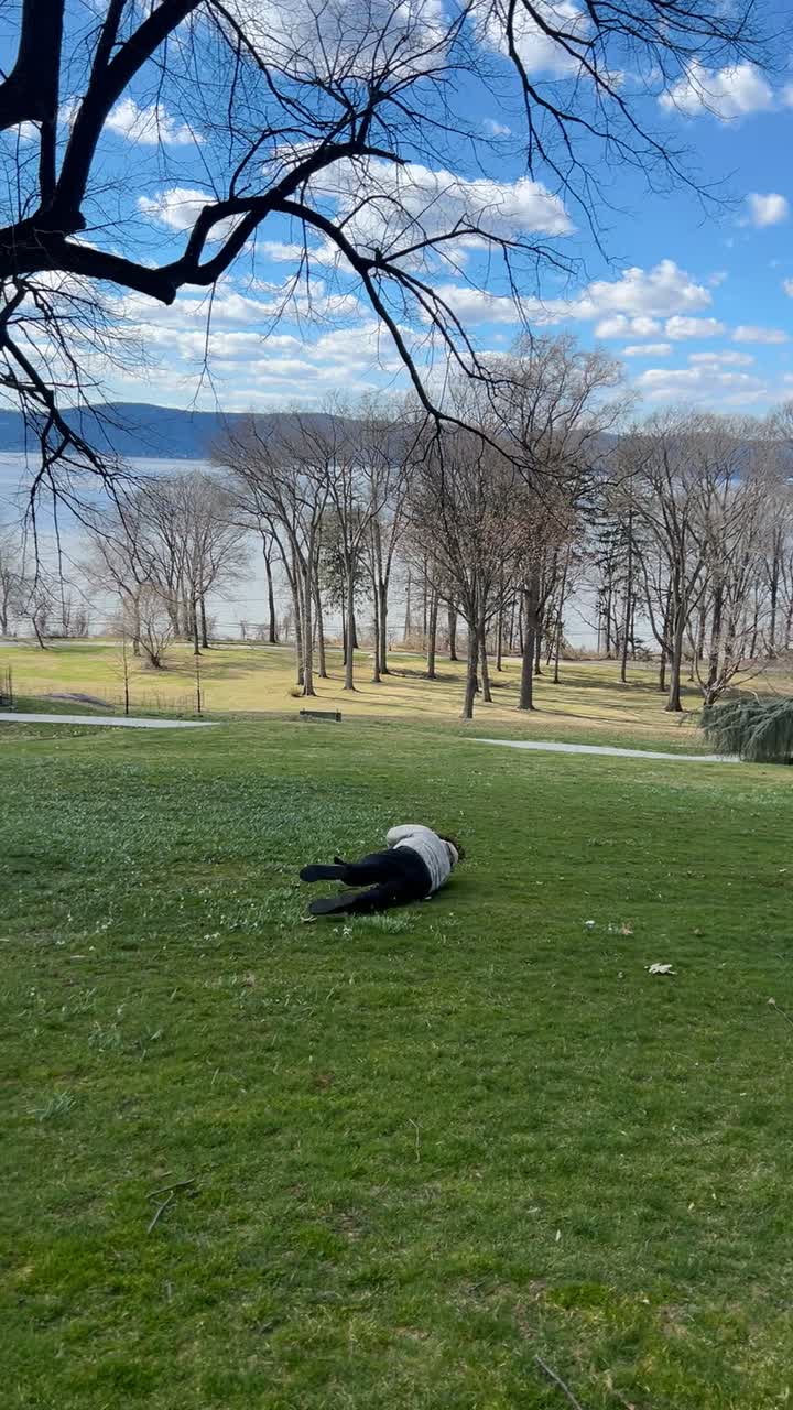 Video review of Lyndhurst Mansion