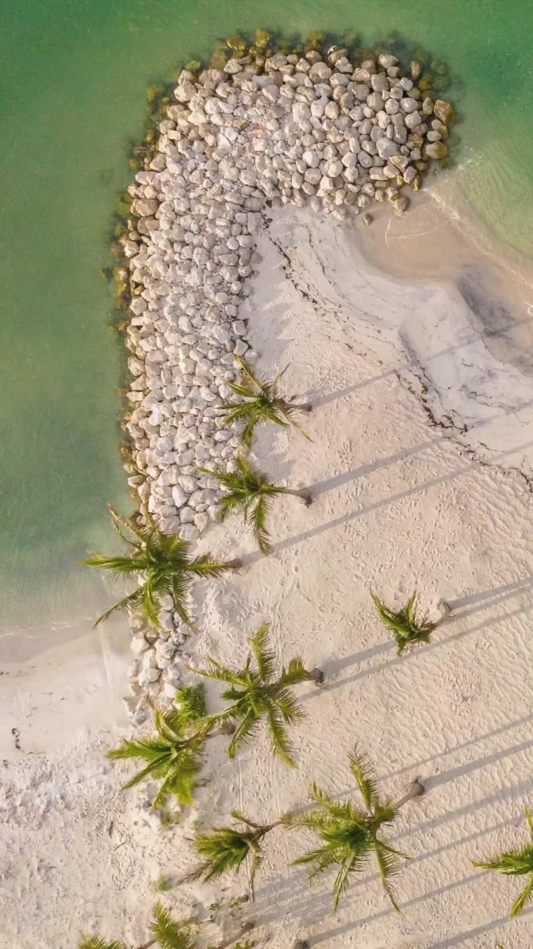 JW Marriott Clearwater