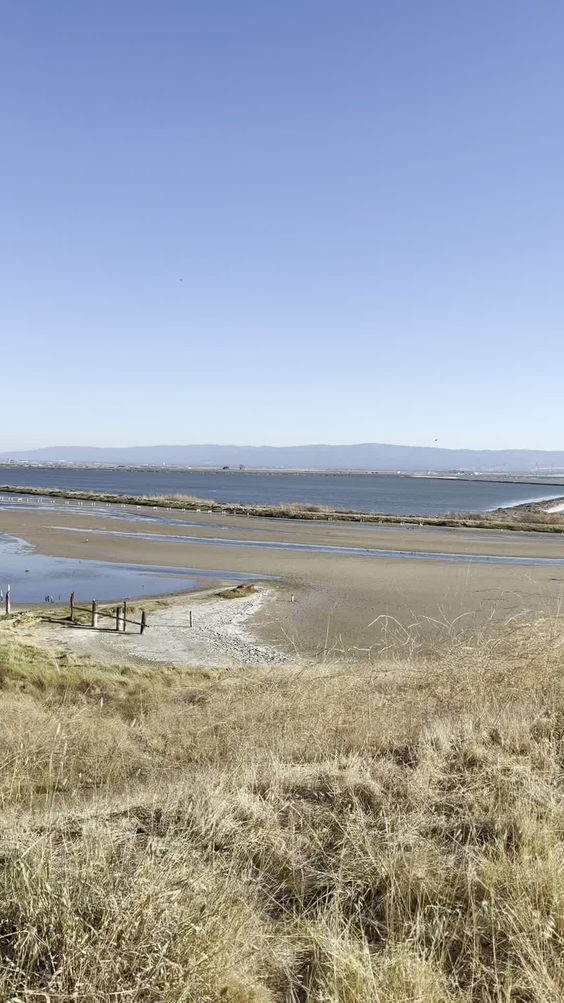 Coyote Hills Regional Park