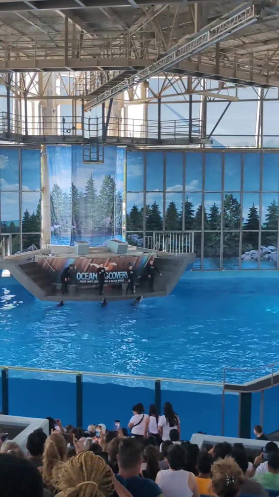 SeaWorld San Antonio