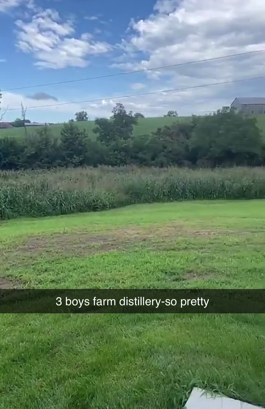 Video review of Three Boys Distillery