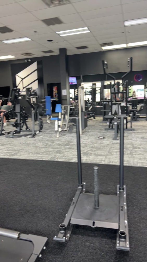 Elite Fit Labz