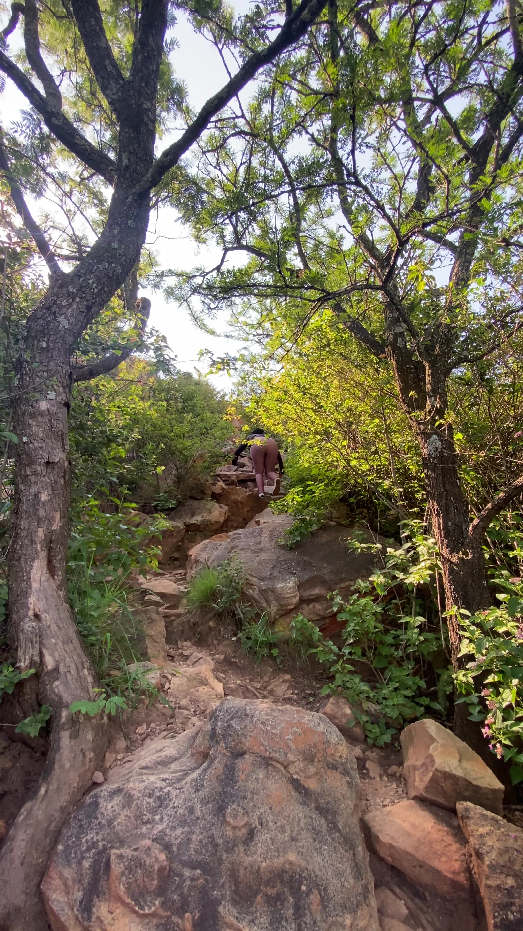 Faerie glen nature reserve