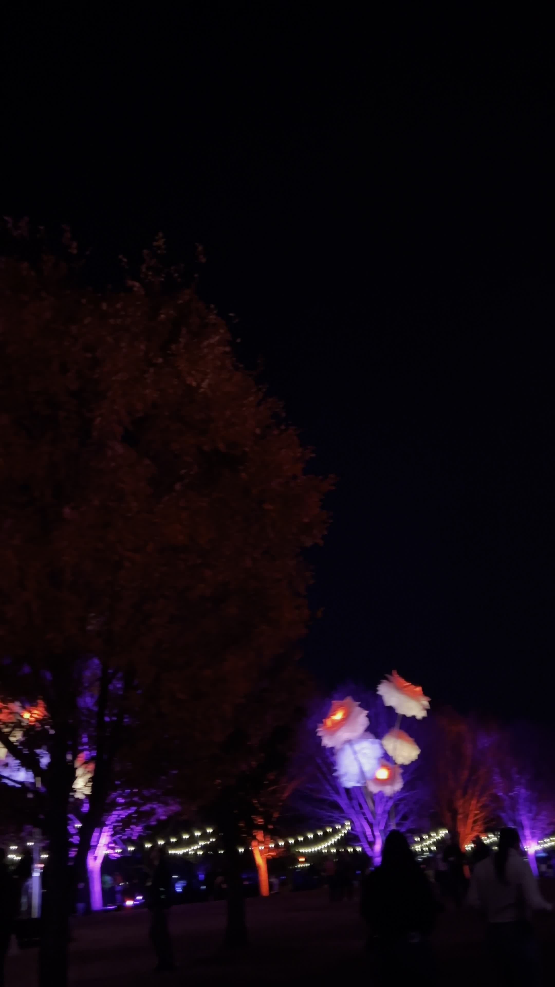 Video review of Maymont