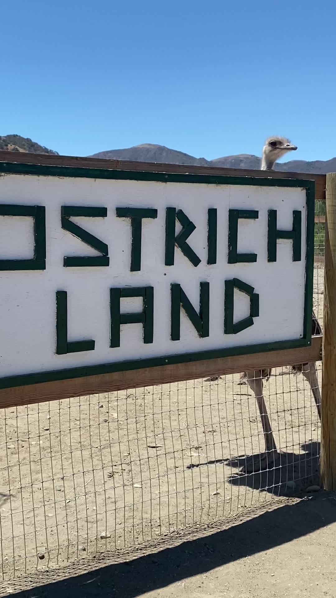 Ostrichland USA