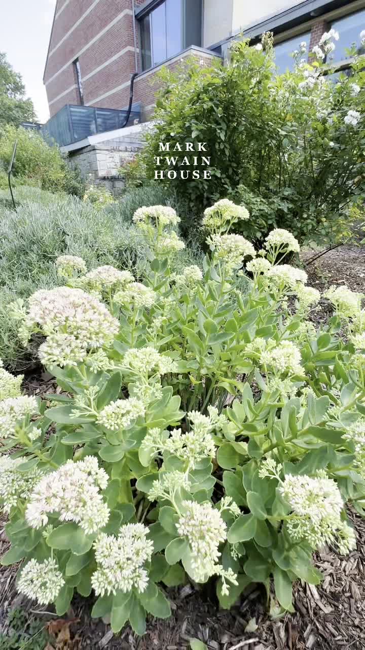 The Mark Twain House & Museum
