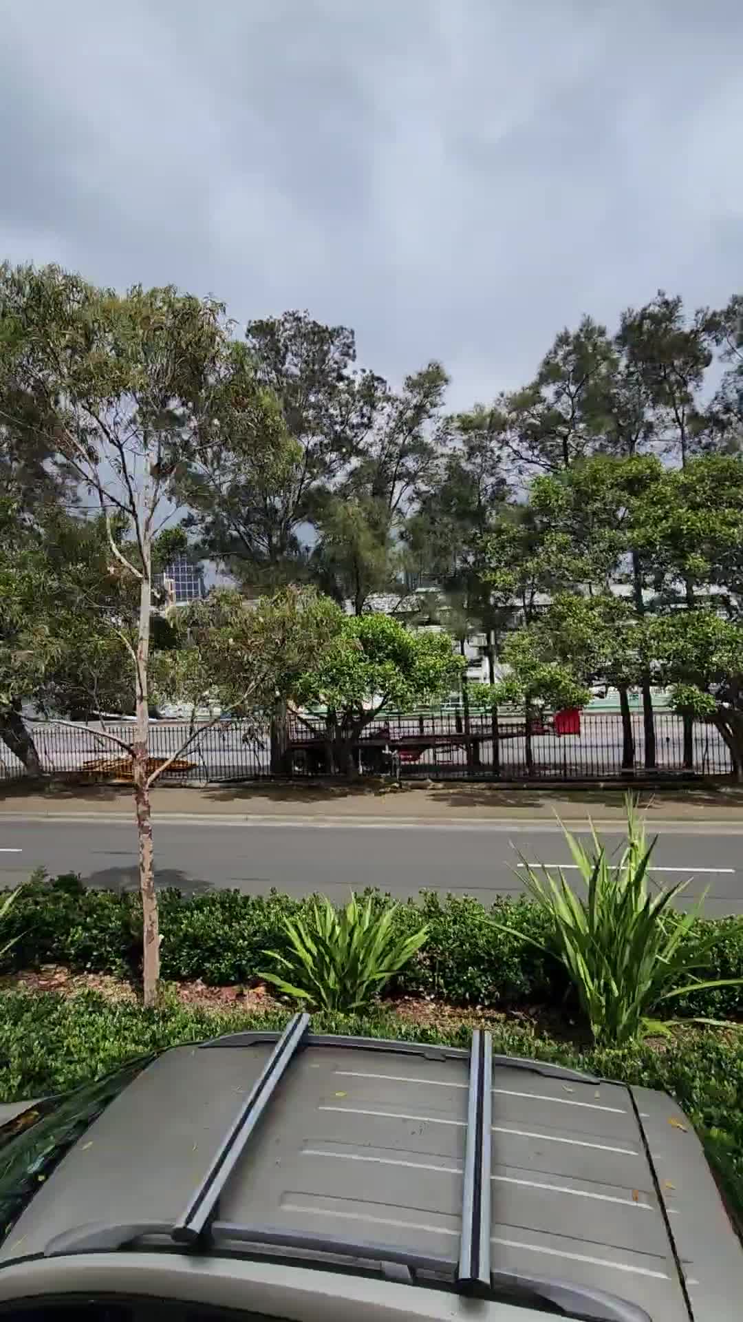Big Bus Tours Sydney