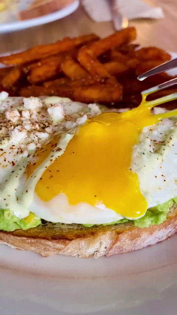 Egghead Cafe