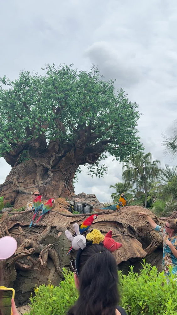 The Tree of Life