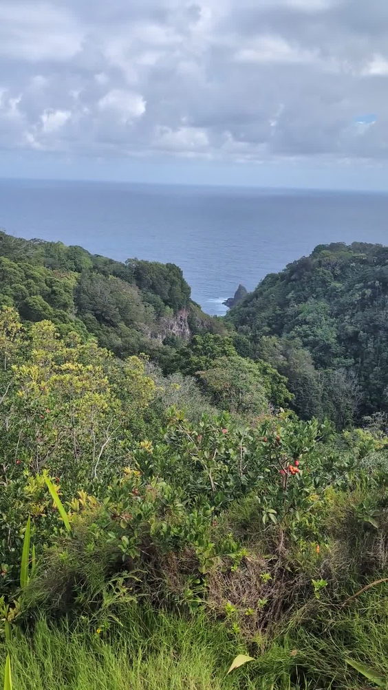 Garden Of Eden