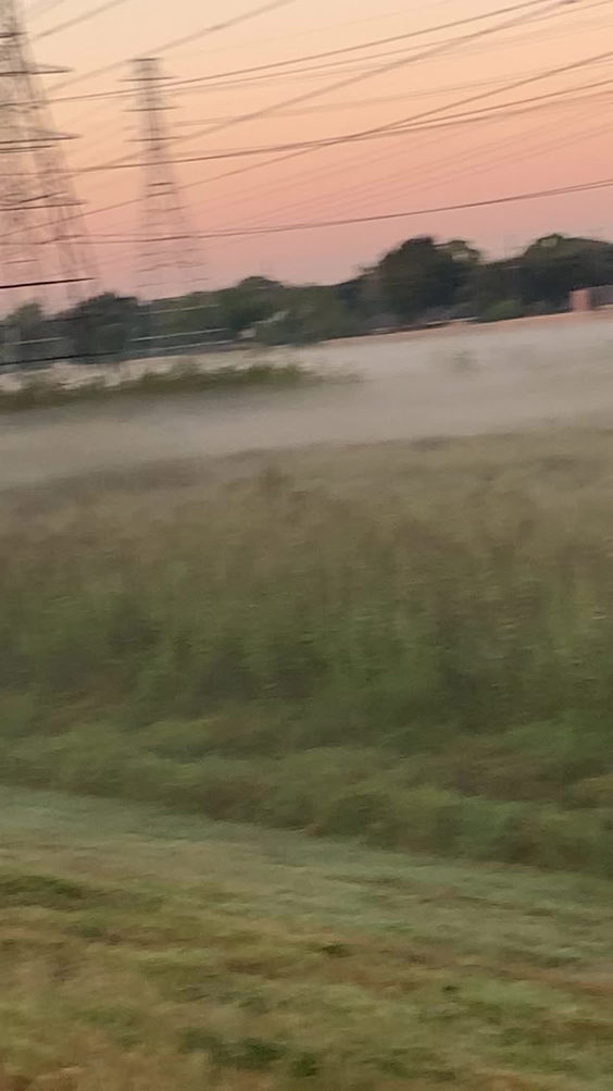 HTeaO - Sugar Land