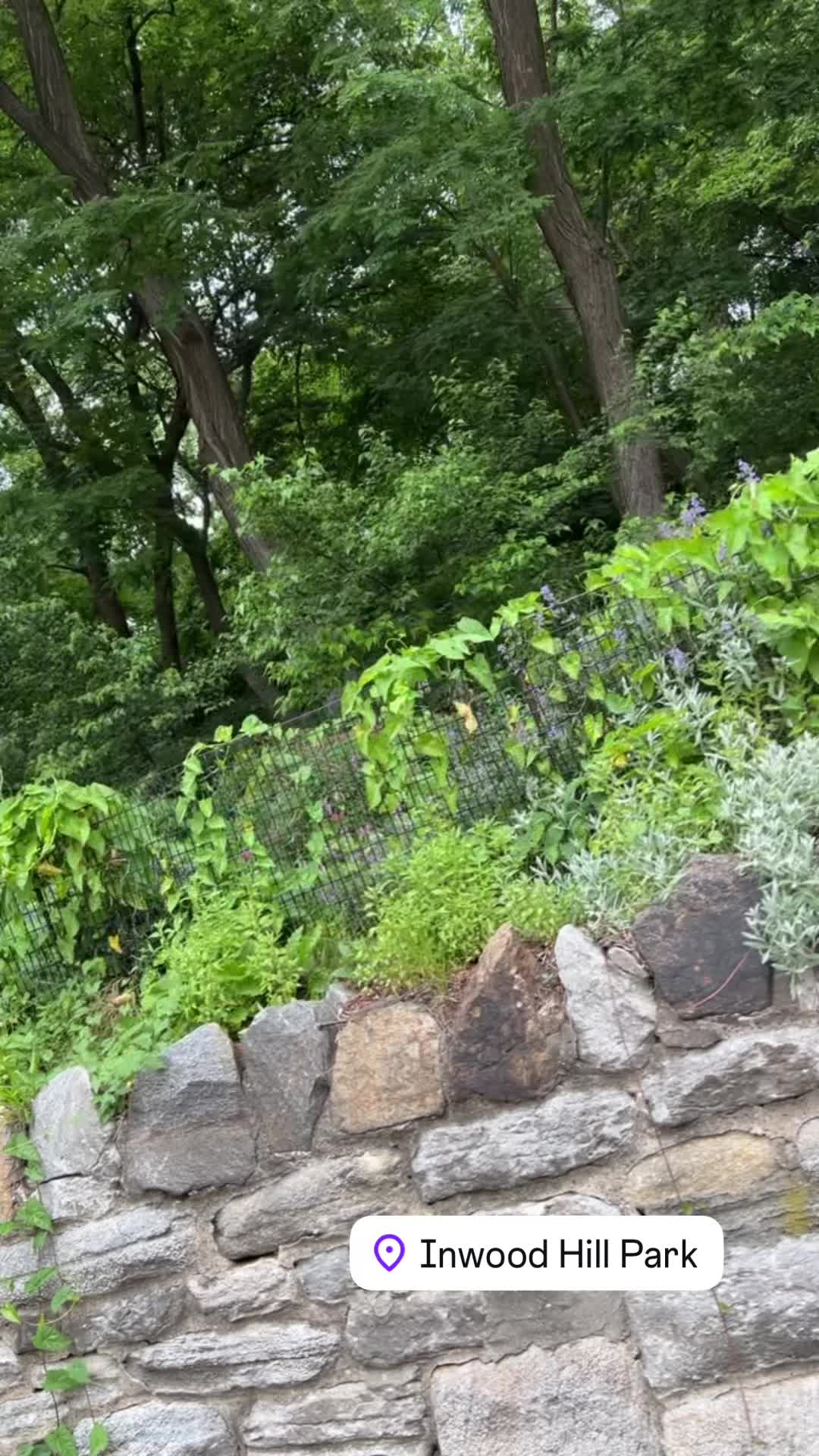 Inwood Hill Park