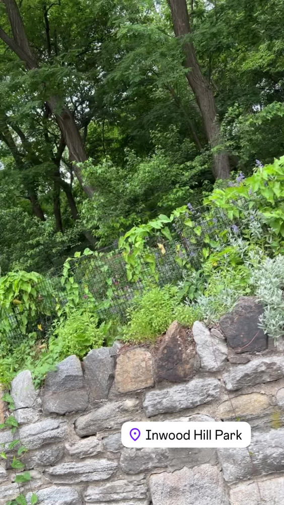 Inwood Hill Park