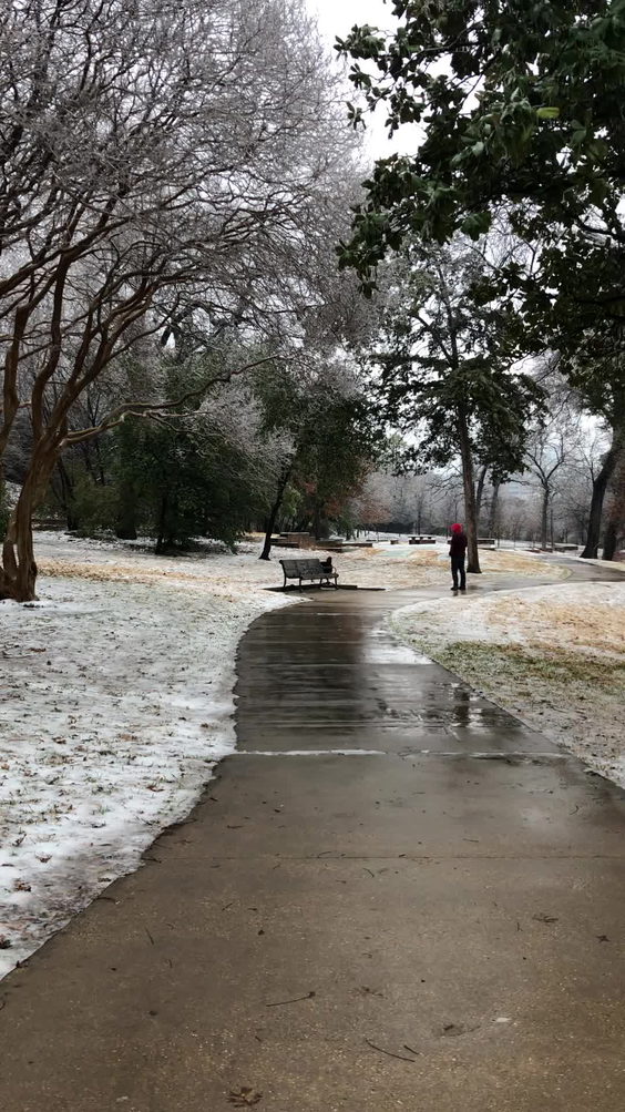 Turtle Creek Parkway Park