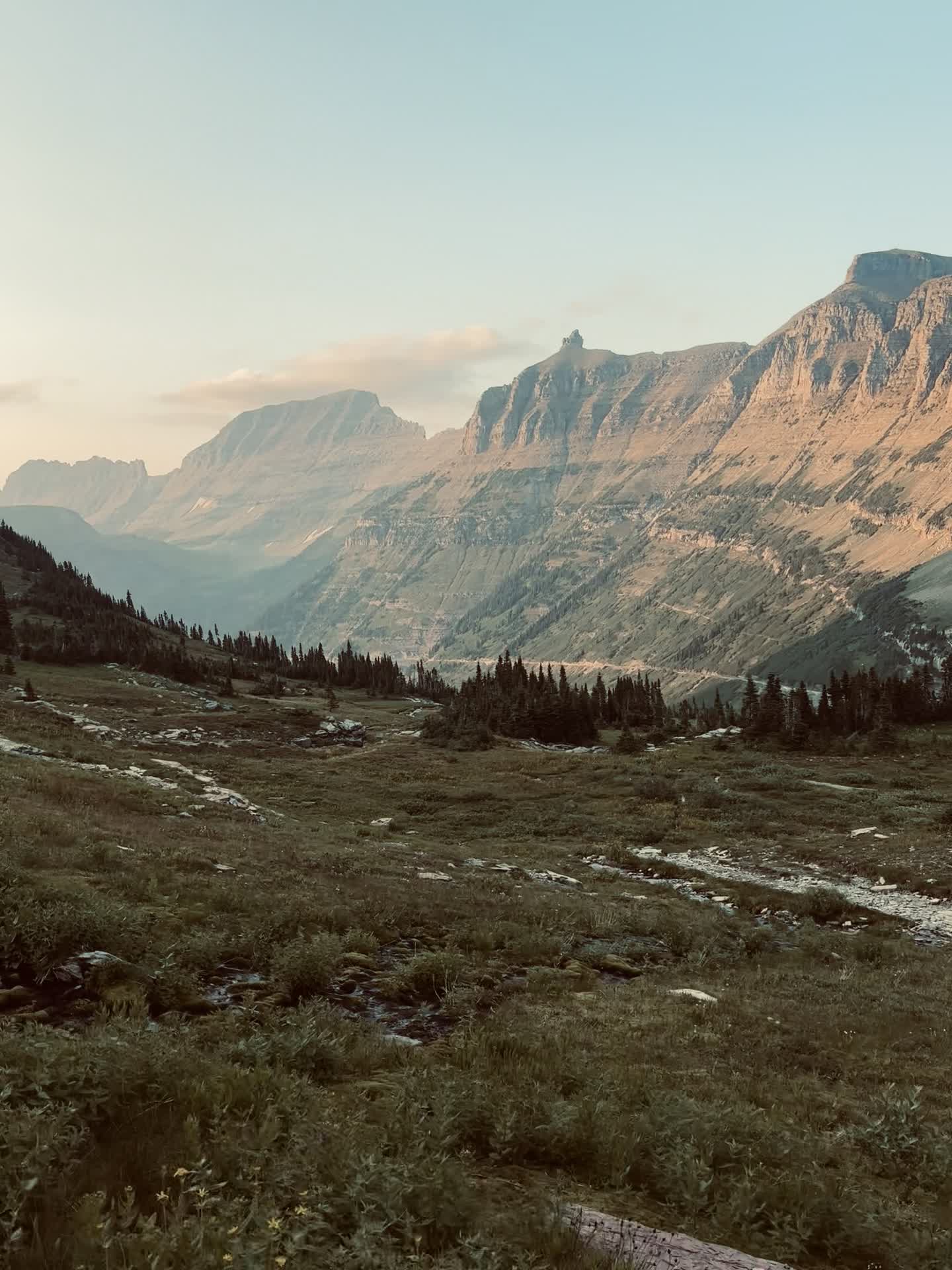 Trail 