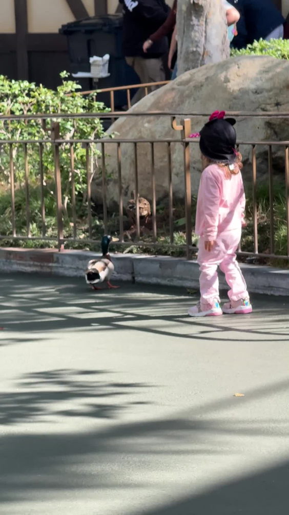 Disneyland 