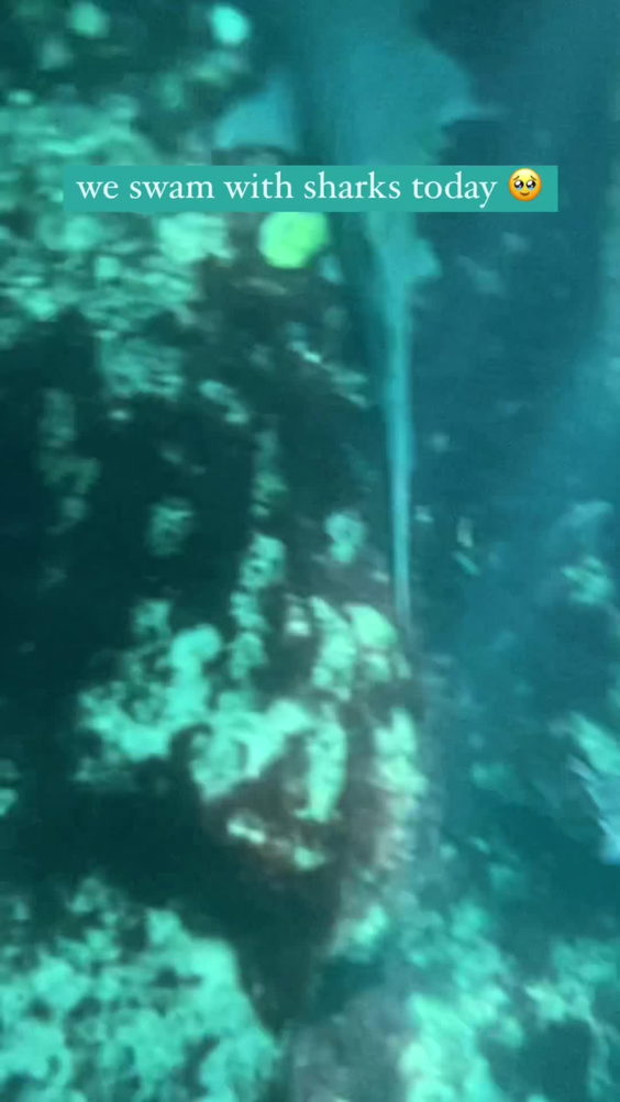 Xcaret Park
