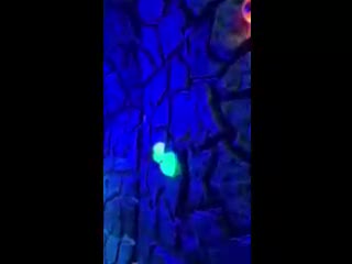Tropical Isle's Bayou Club