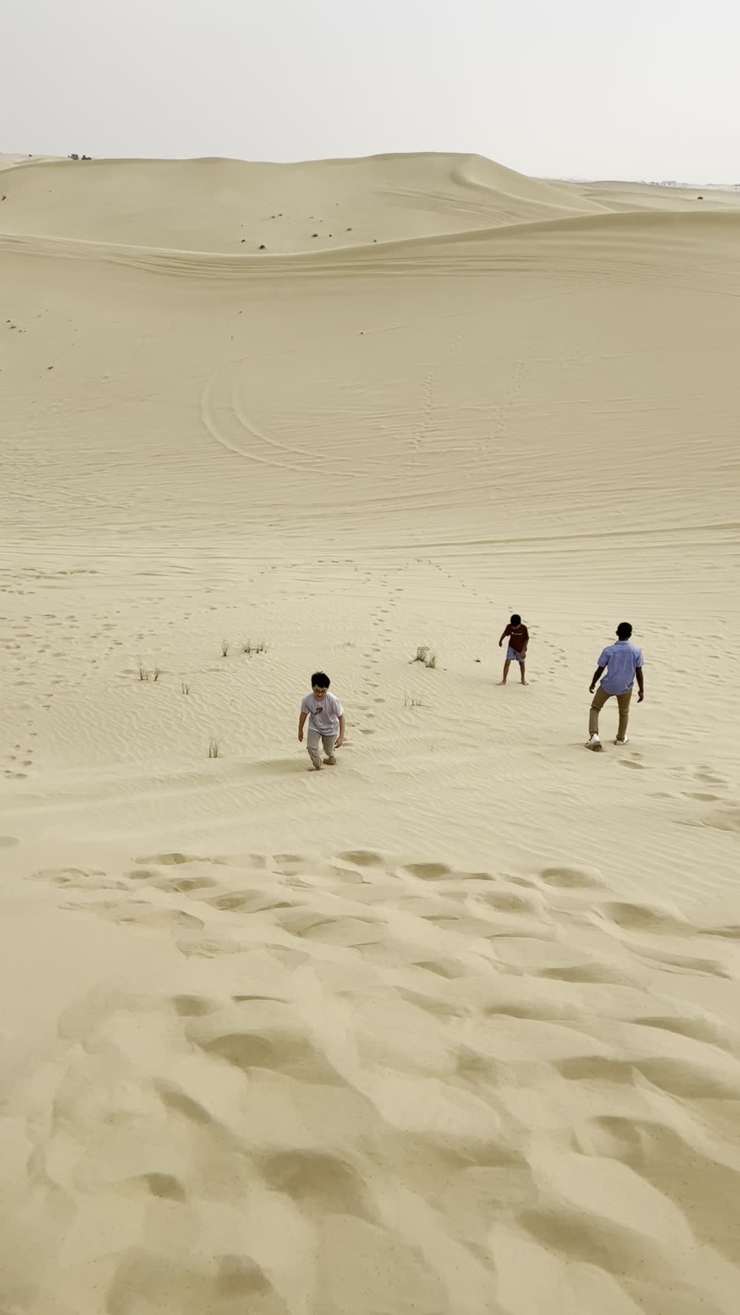 Desert Safari Abudhabi