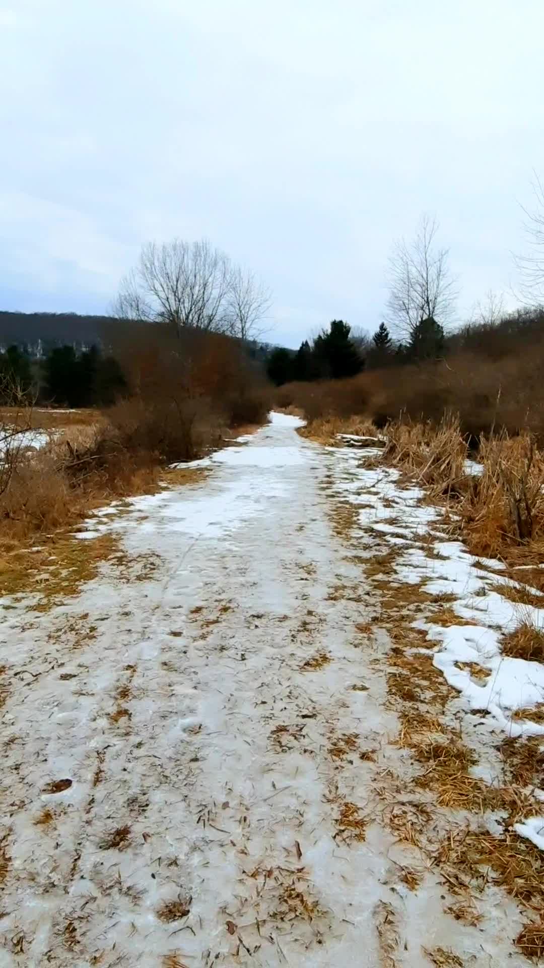 Nature Preserve